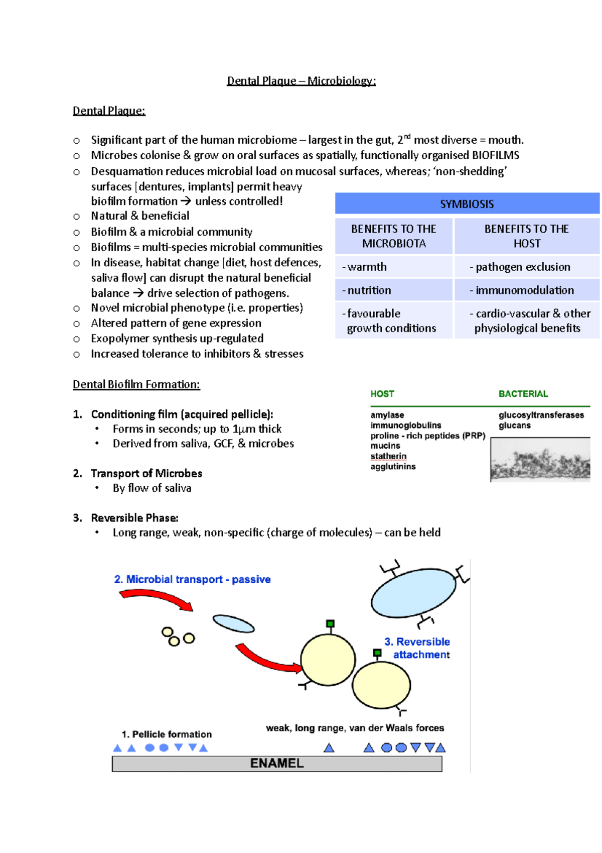 Dental Plaque Microbiology Dental Plaque Microbiology Dental
