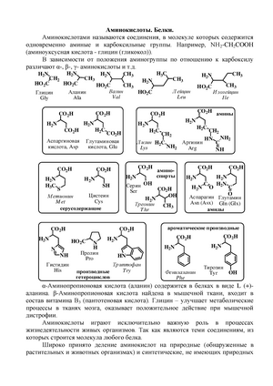 Реферат: Аминокислоты, белки