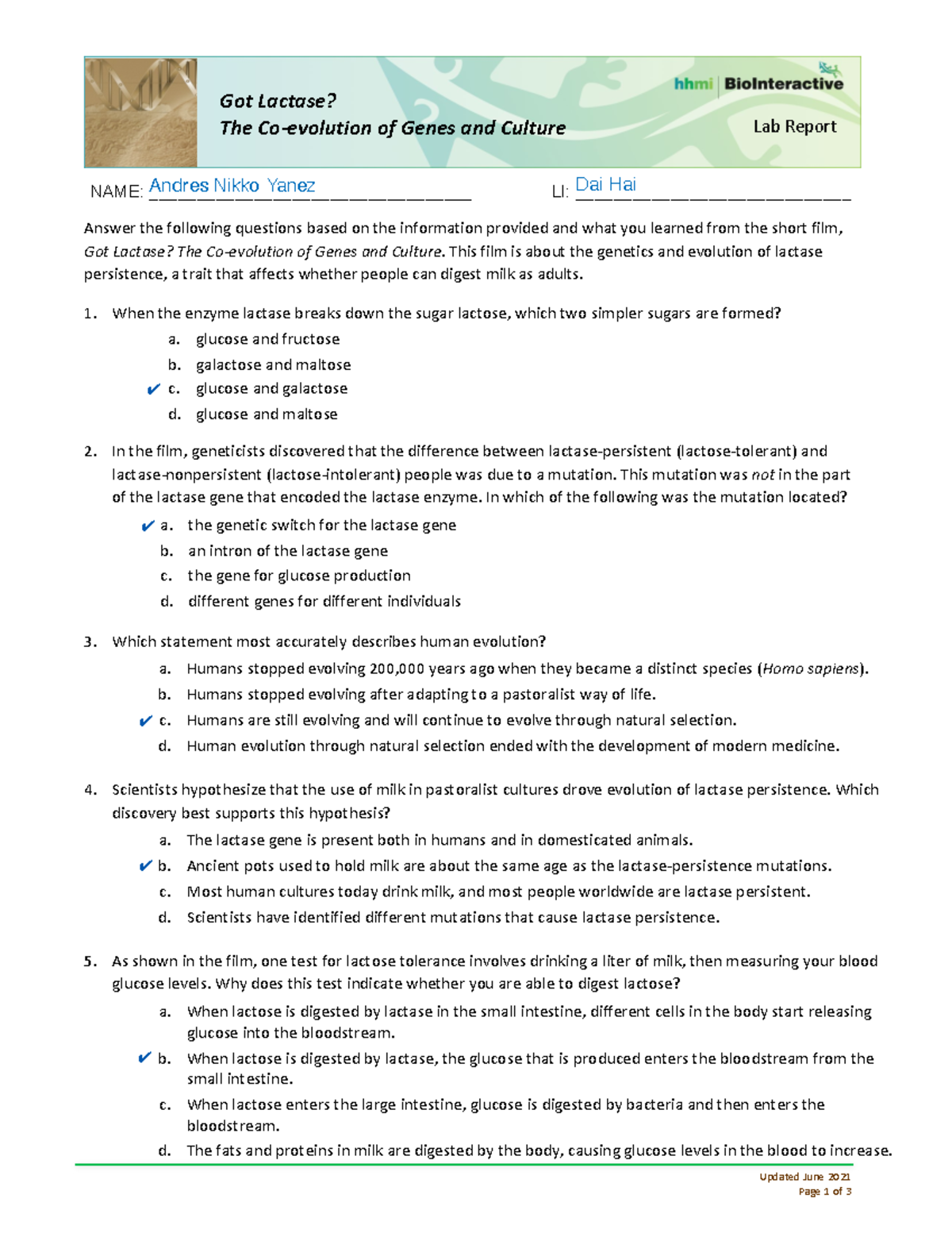 got lactase case study