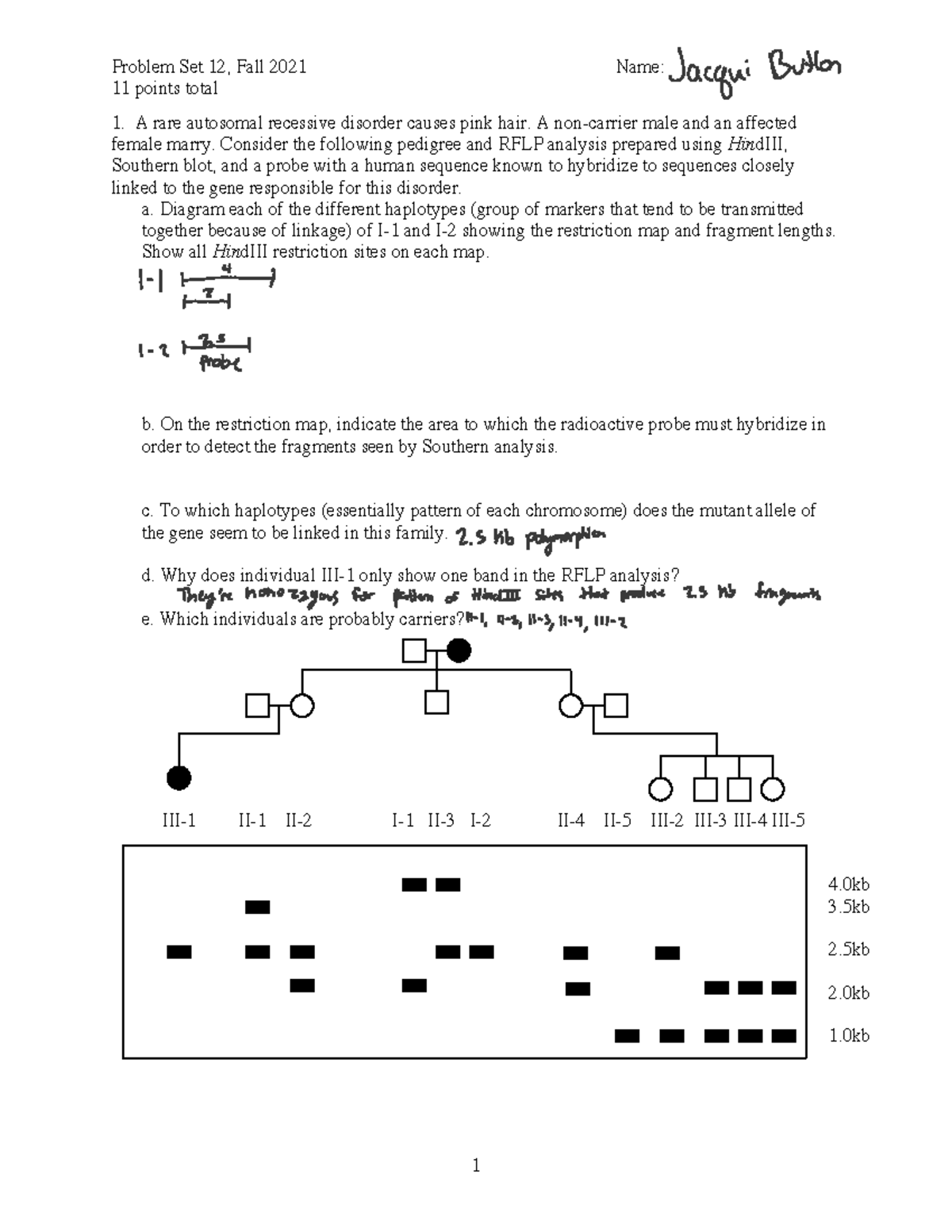 Problem+set+12 - Problem Set 12, Fall 2021 Name: 11 points total 1. A ...