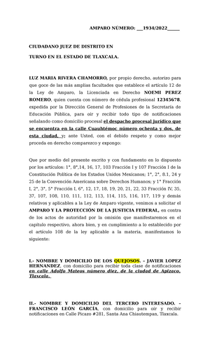 Ejemplo de Ofrecimiento DE Pruebas Mercantil - EJEMPLO DE OFRECIMIENTO ...