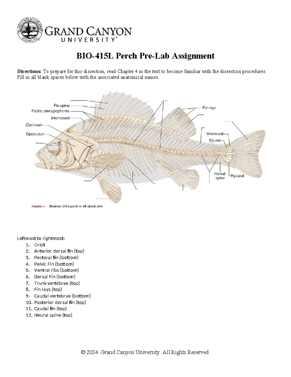 Perch Prelab BIO415L Perch PreLab Assignment Directions To prepare