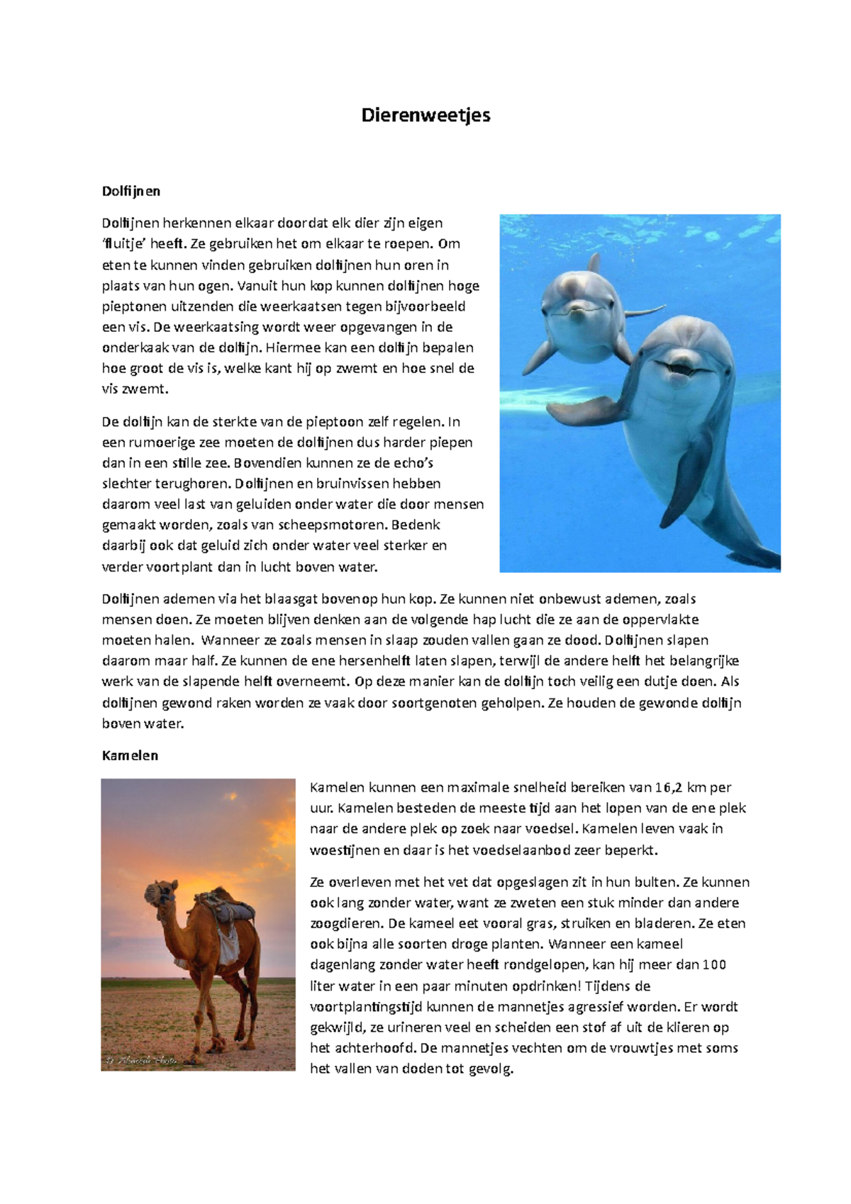 Dierenfeiten - samenvatting - Dierenweetjes Dolfijnen Dolfijnen ...