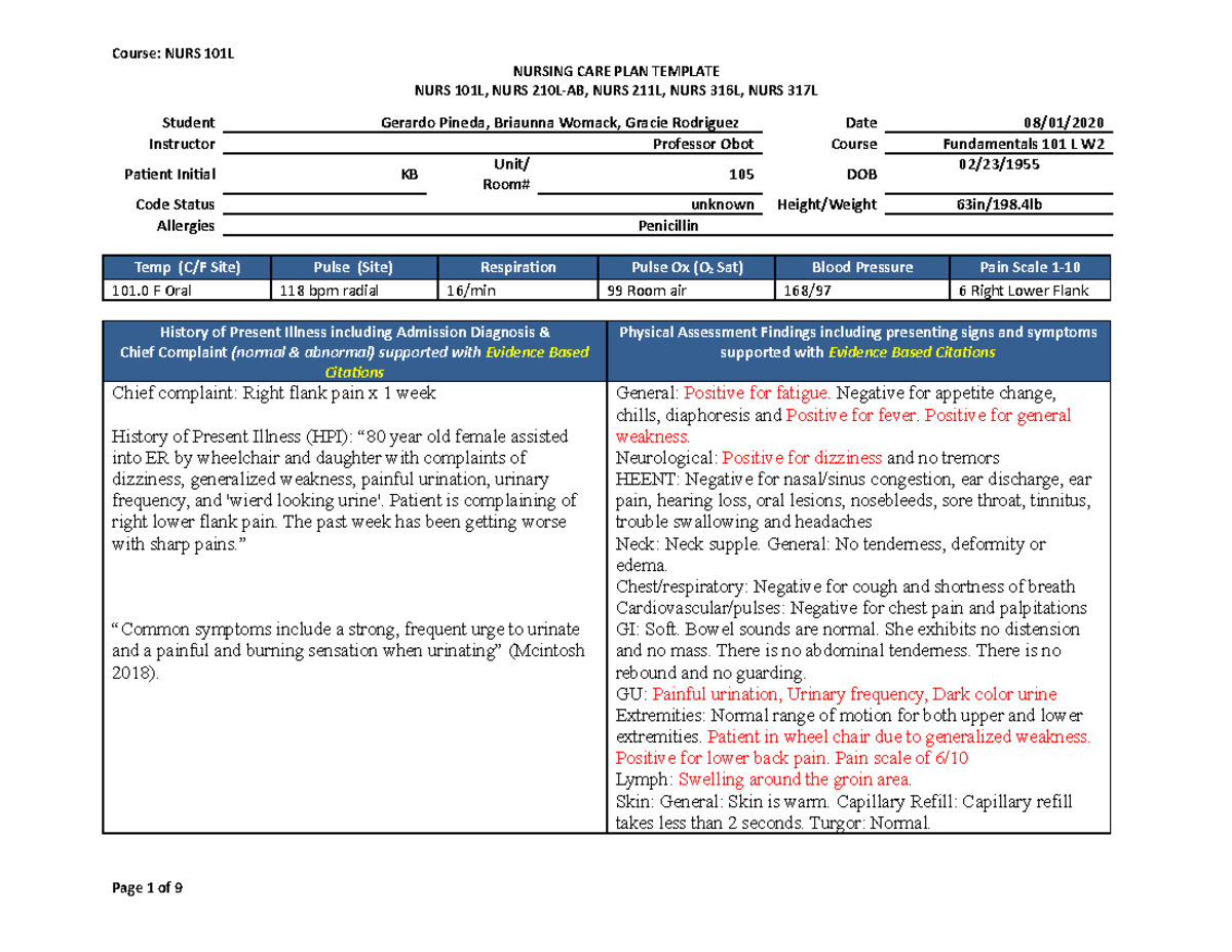 101L Care Plan Gerardo Pineda - NURSING CARE PLAN TEMPLATE NURS 101L ...