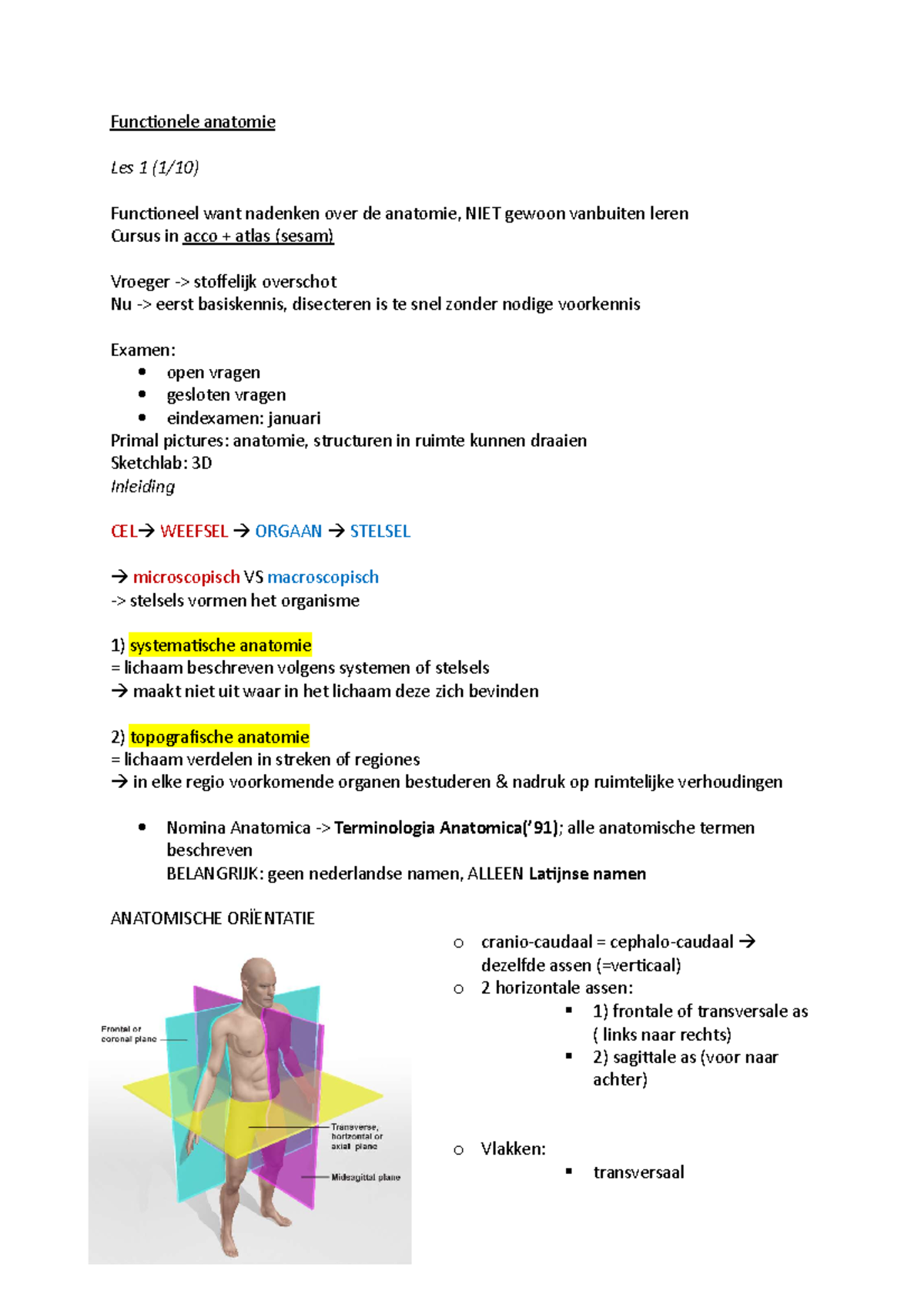 Functionele-anatomie - Functionele Anatomie Les 1 (1/10) Functioneel ...