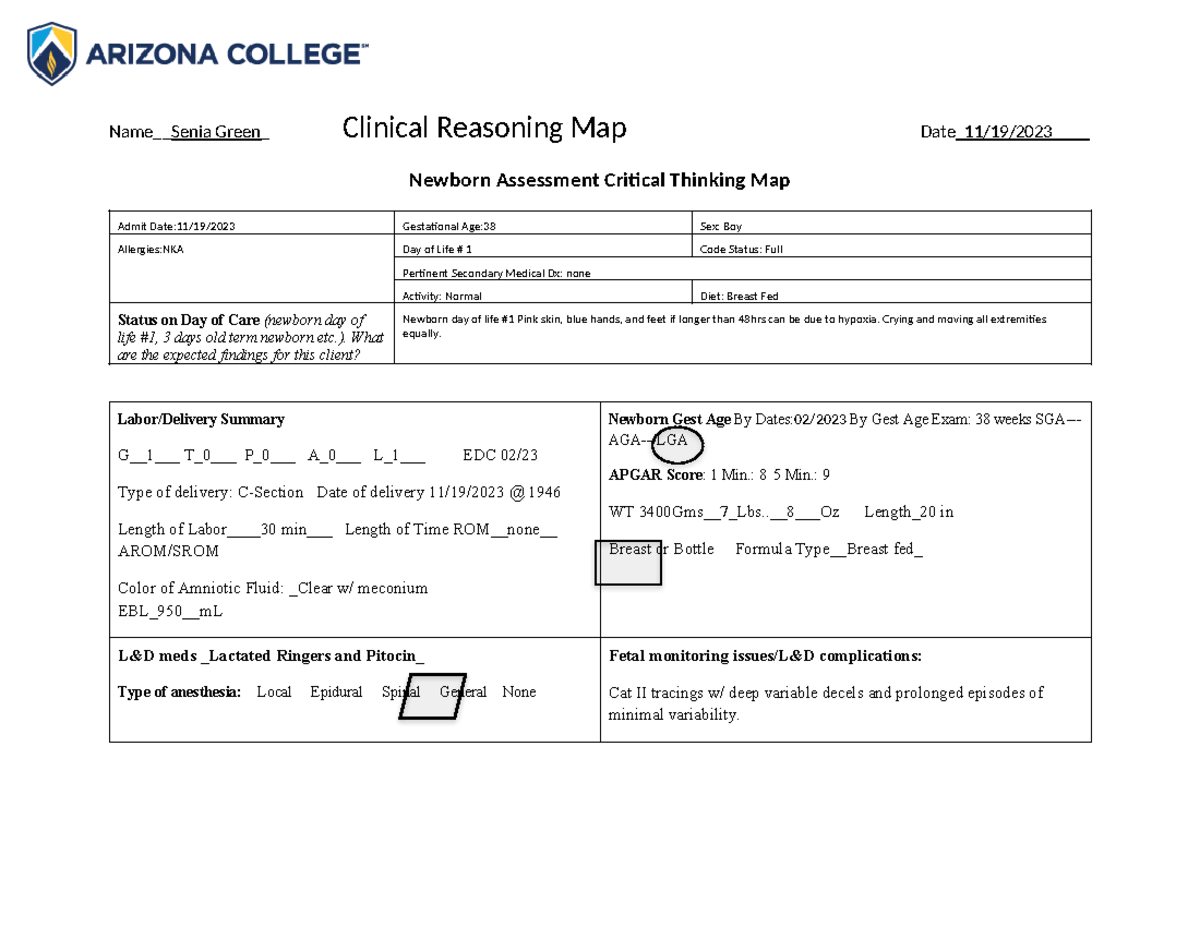 newborn assessment critical thinking map