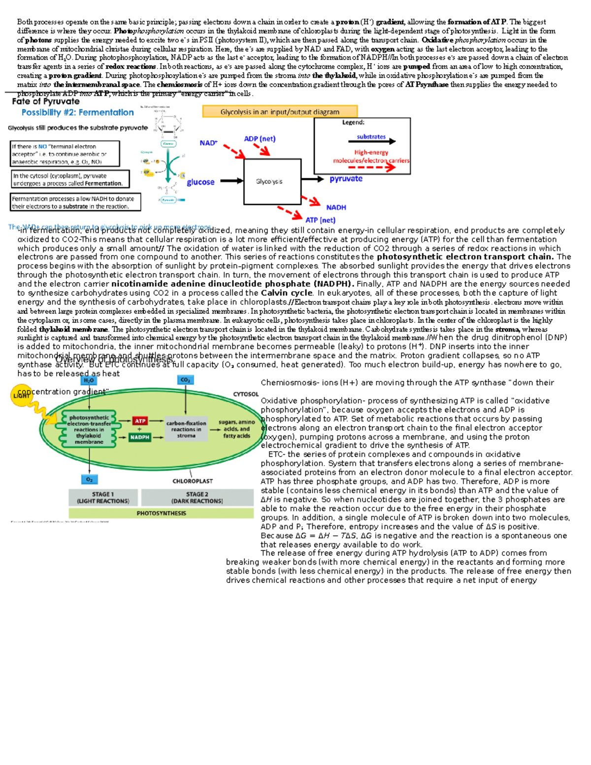 Bio final cheat sheet final - Both processes operate on the same basic ...