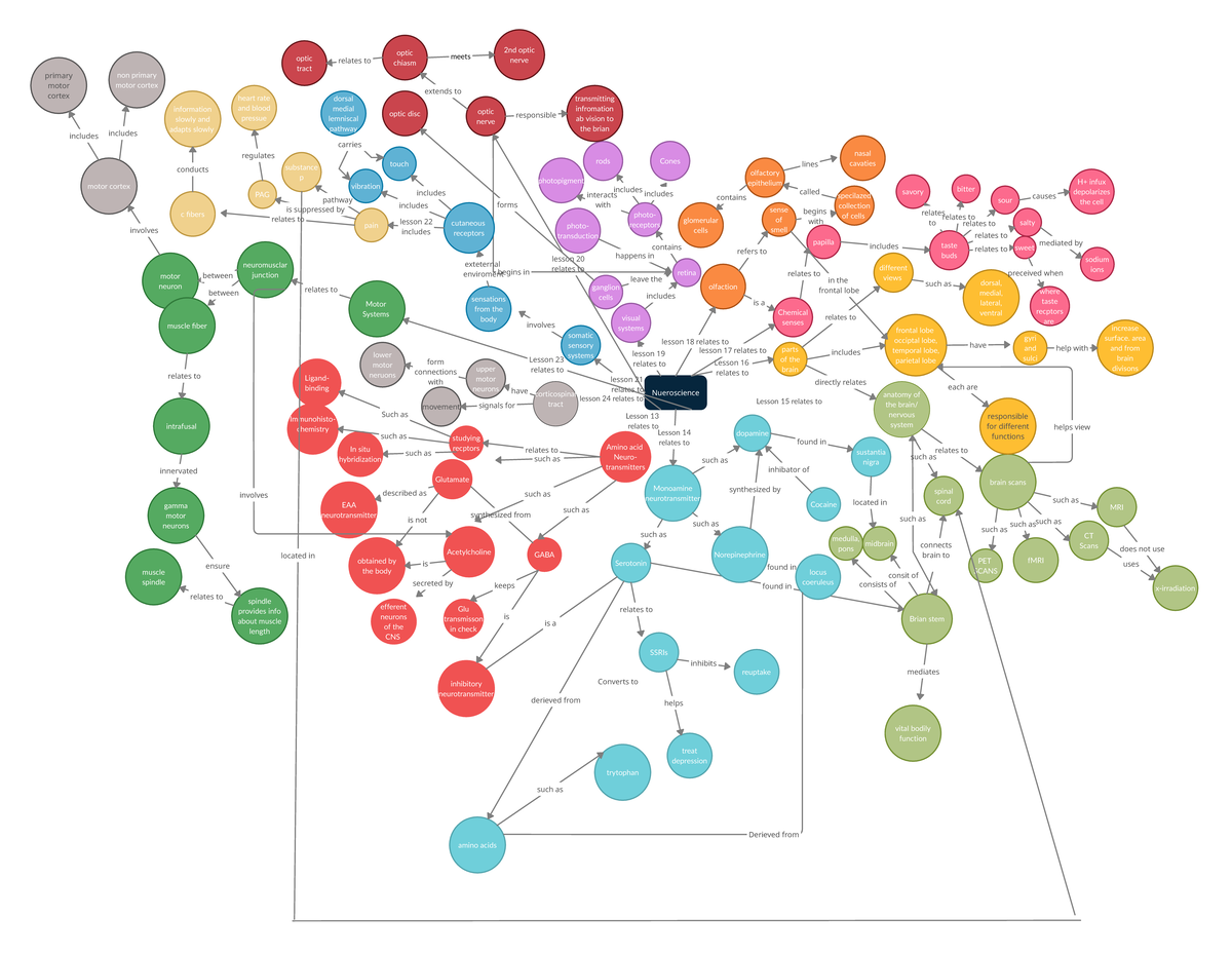 Concept map - CONCPET MAP - Nueroscience Amino acid Neuro- transmitters ...