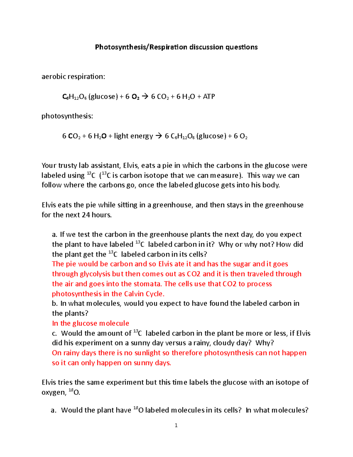 photosynthesis discussion questions