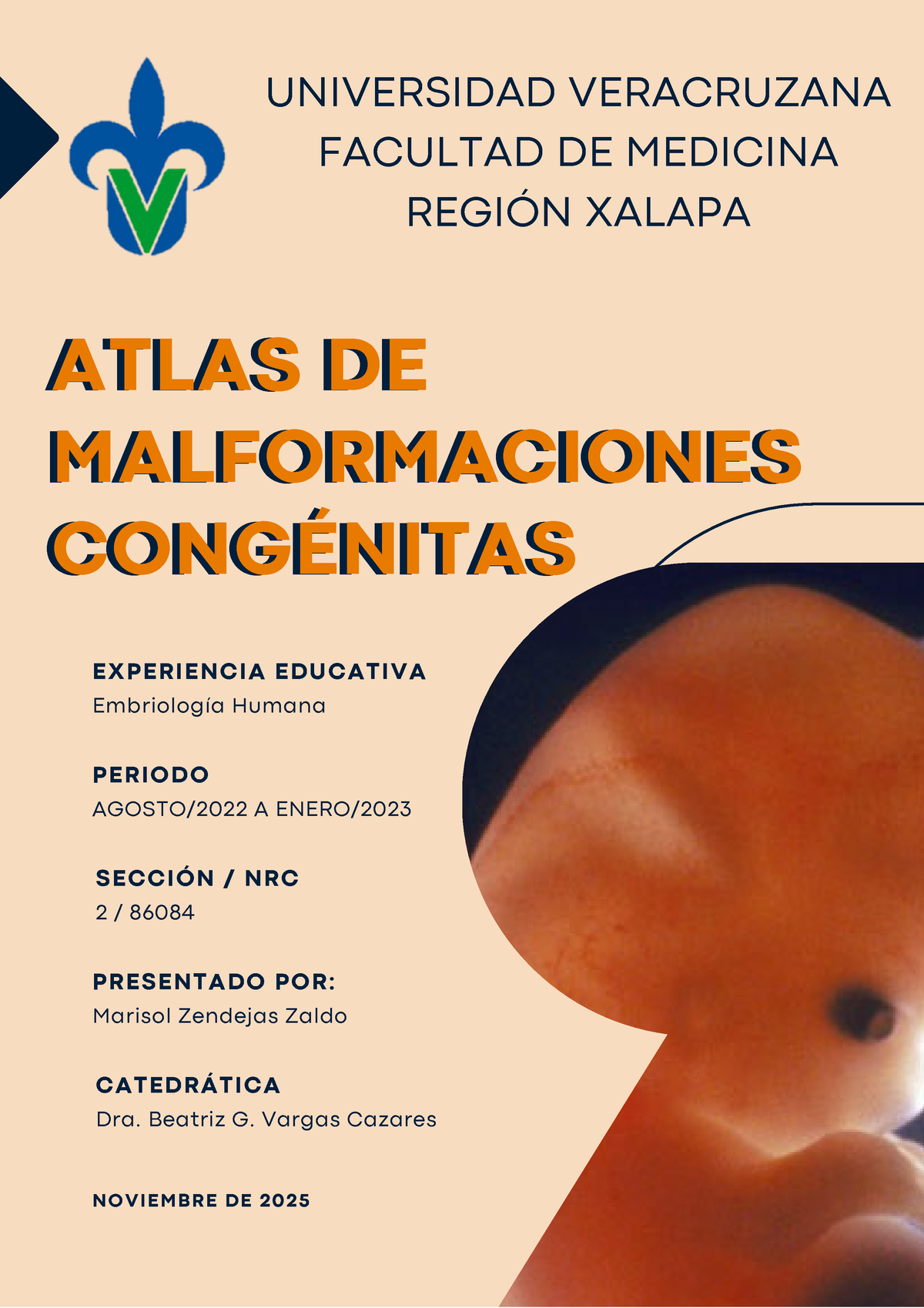 Atlas Embriología Atlas De Malformaciones CongÉnitas Universidad Veracruzana Facultad De 