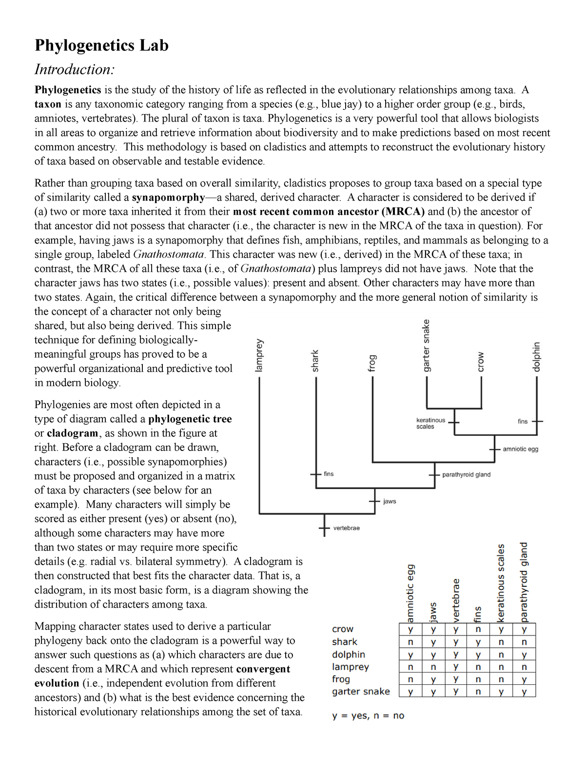 Phylogenetics Lab Manual - Phylogenetics Lab Introduction ...