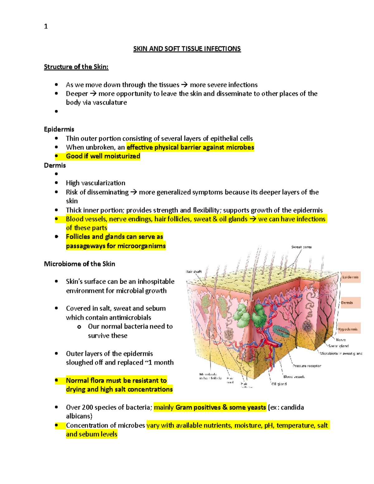 Skin and Soft Tissue Infections - SKIN AND SOFT TISSUE INFECTIONS ...