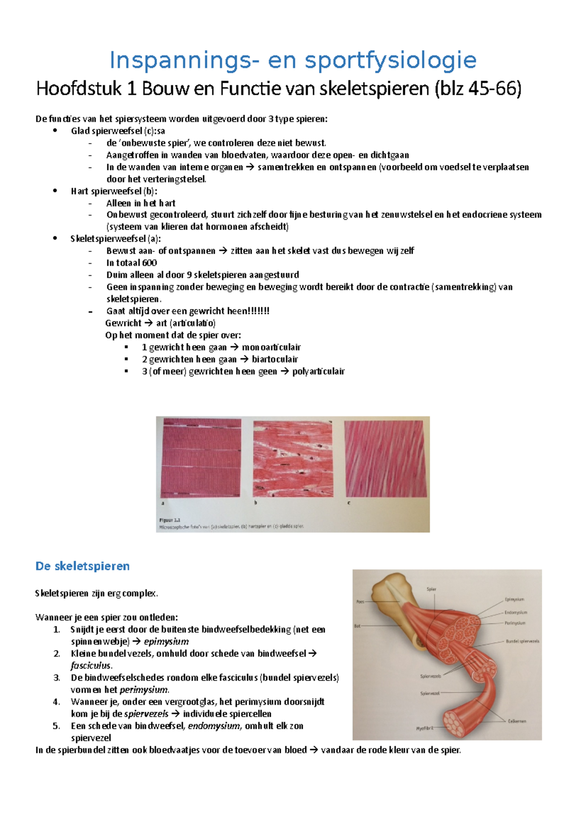 Samenvatting Boek Sport- En Inspanningsfysiologie - Hoofdstuk 1 Bouw En ...