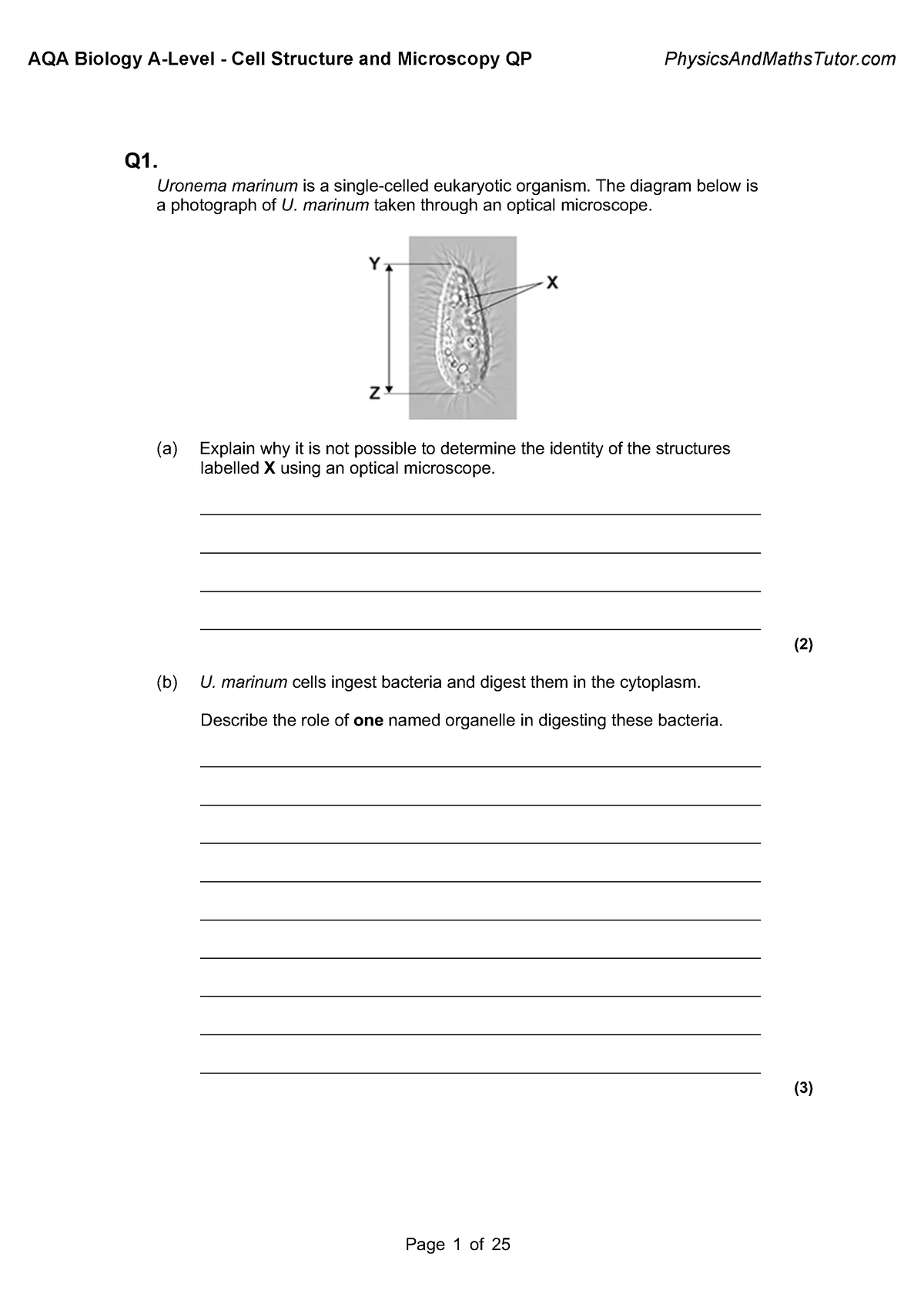 2.1 Cell Structure and Microscopy QP - Q1. Uronema marinum is a single ...