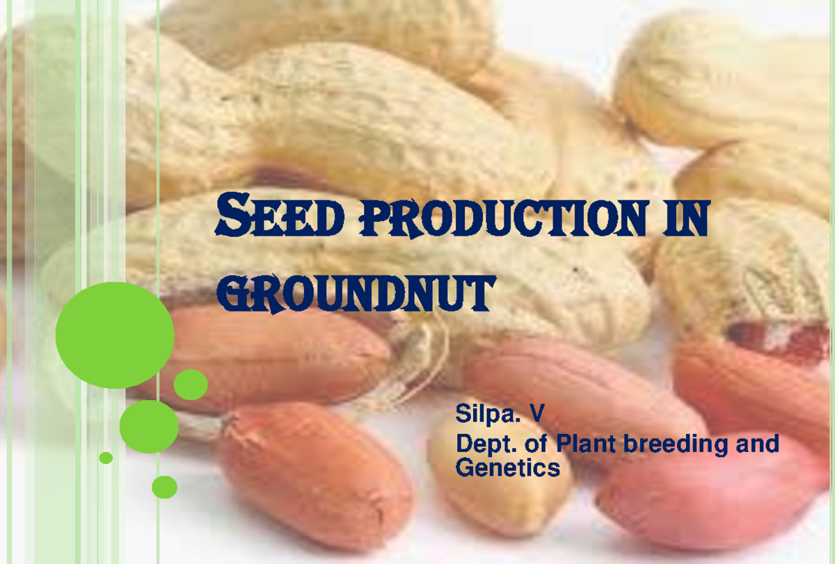 Lecture 11 ground nut - SEED PRODUCTION IN GROUNDNUT Silpa. V Dept. of ...