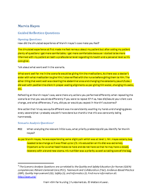 Handout long form care plan - Long Form Care Planning Tool: Client ...