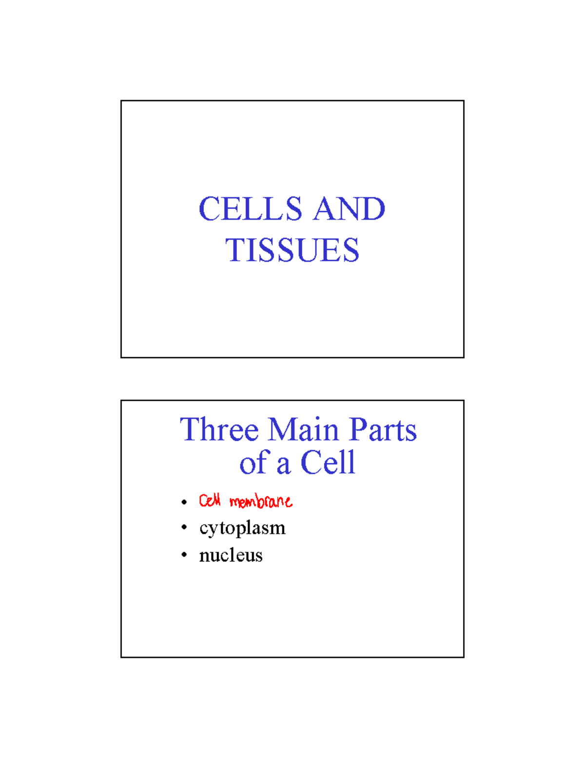 Week 2 Lectures - CELLS AND TISSUES Three Main Parts of a Cell ...