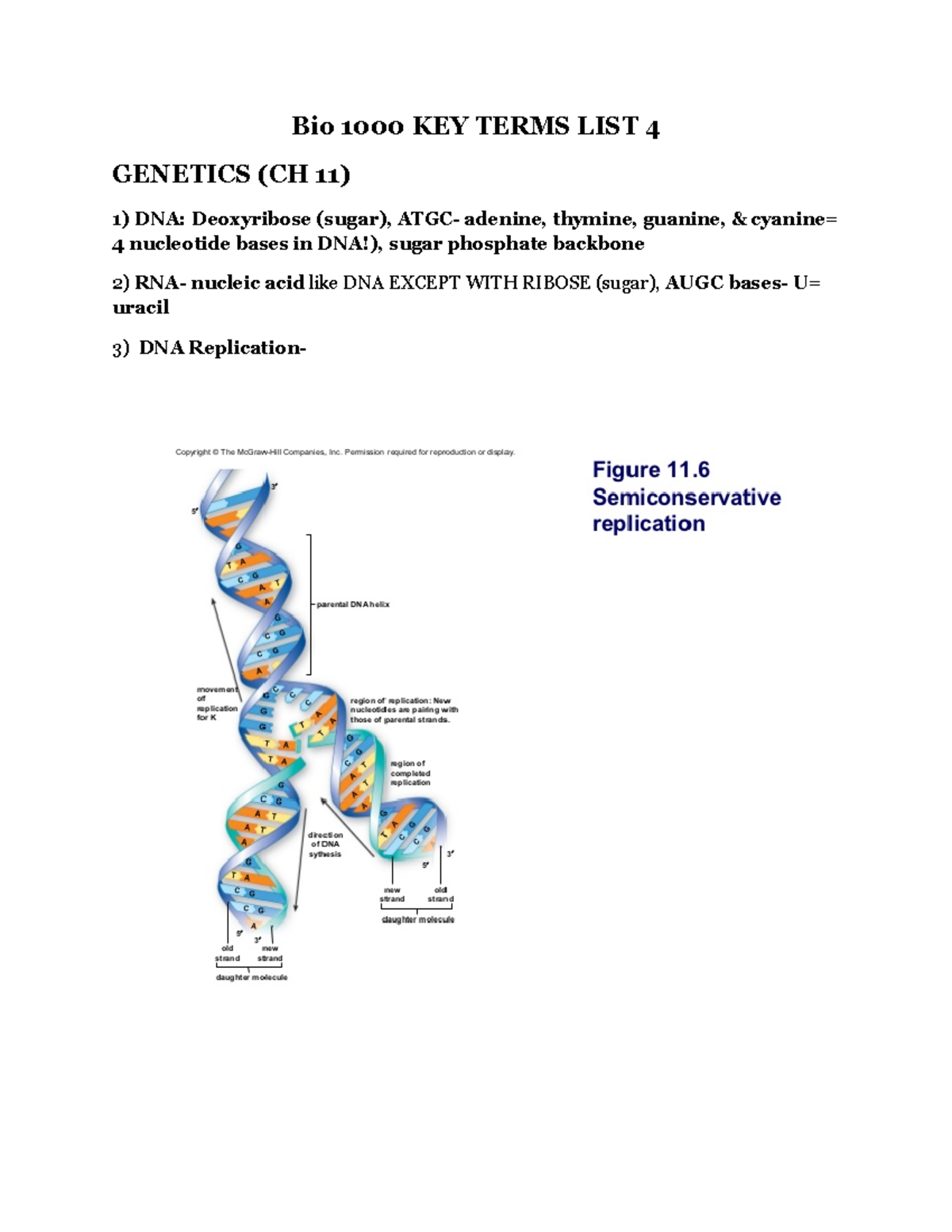 Bio 1000 KEY Terms LIST 4 - Bio KEY TERMS LIST 4 GENETICS (CH 11) 1 ...