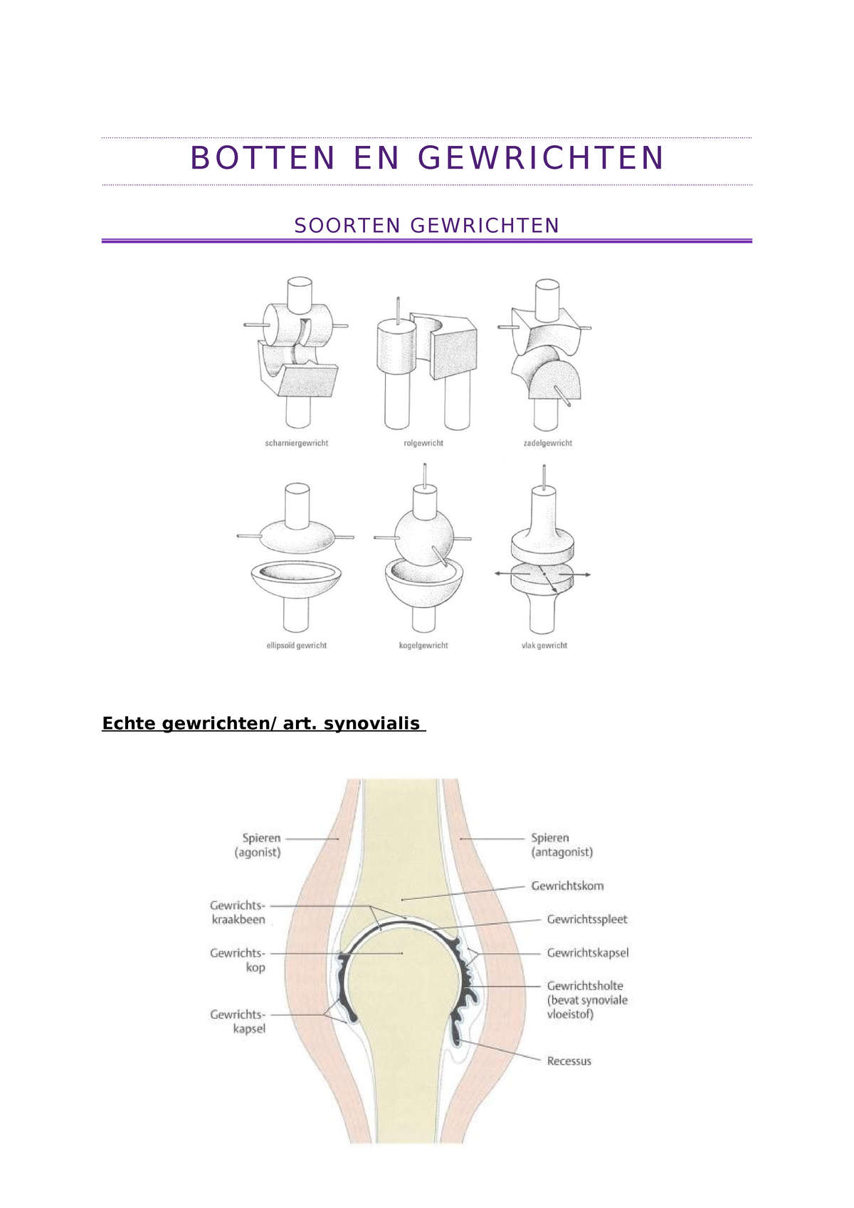 Botten En Gewrichten - Anatomie Assen - B O T T E N E N G E W R I C H T ...