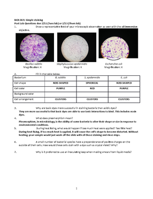 Minipreparation Of Plasmid DNA- Isolation Protocol - Jerel O. Lee ...