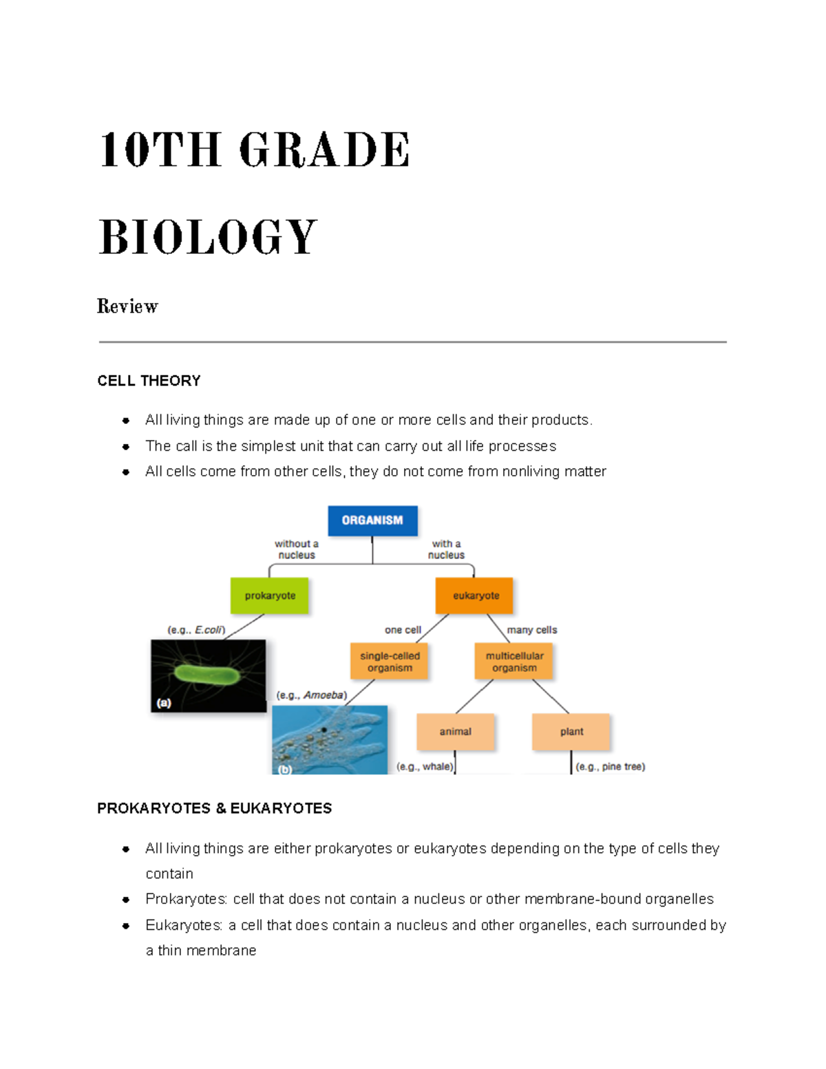 Grade 10 Biology Notes - 10TH GRADE BIOLOGY Review CELL THEORY All ...