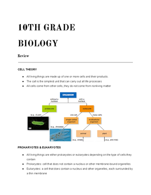 Enzymes worksheet - Chapter 8 Review: Introduction to Metabolism Define ...
