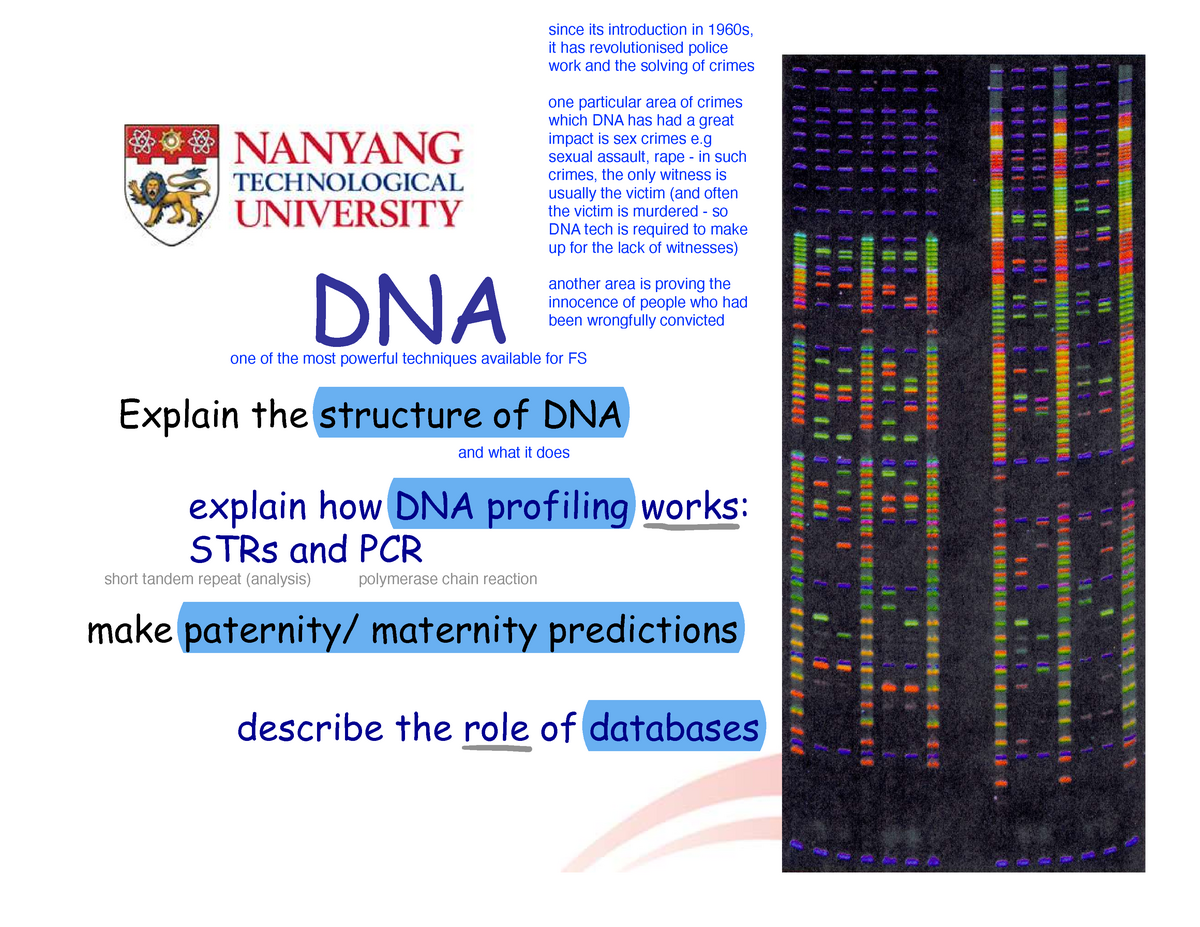 5-dna-with-annotations-explain-the-structure-of-dna-explain-how