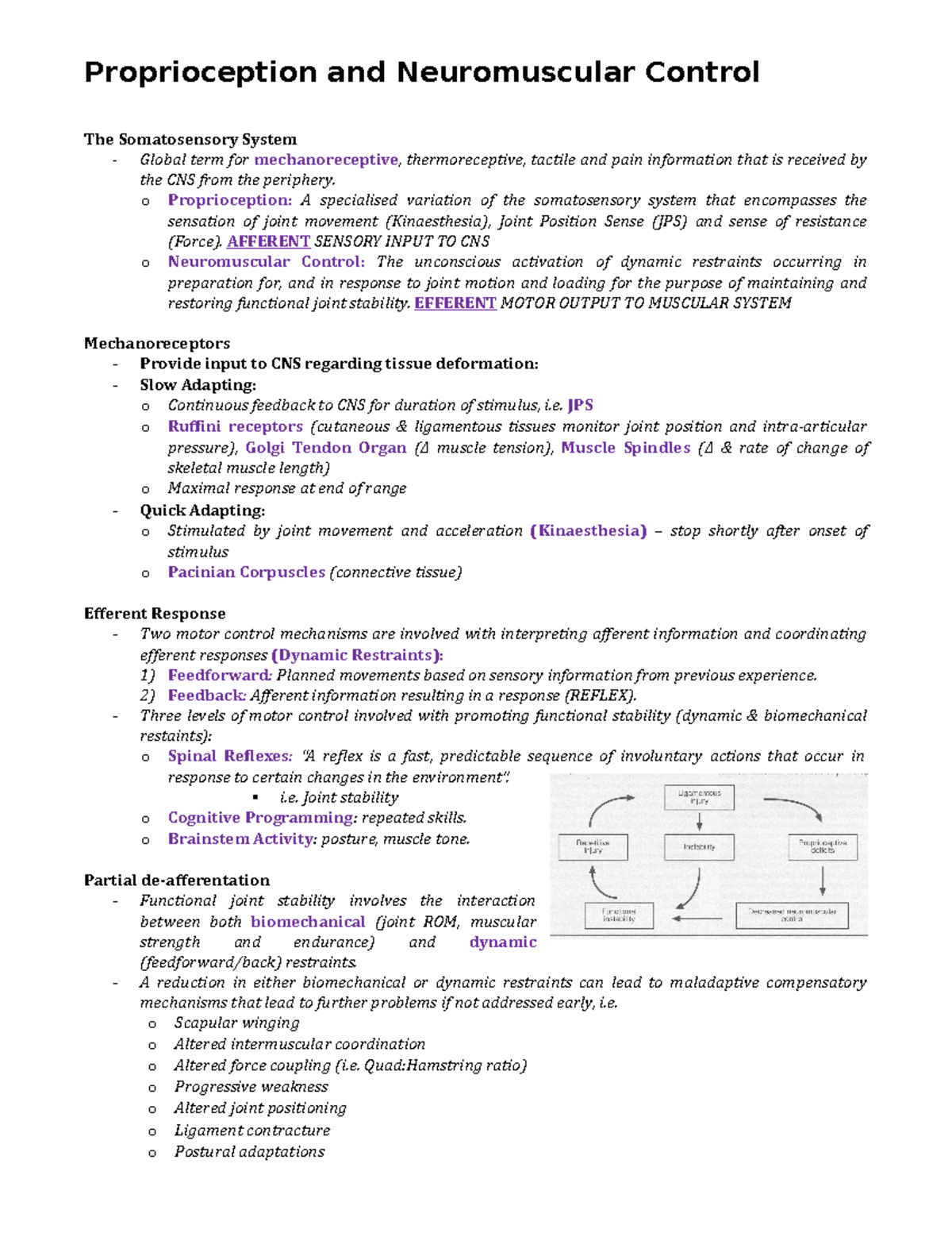 5. Proprioception And Neuromuscular Control - O Proprioception: A ...