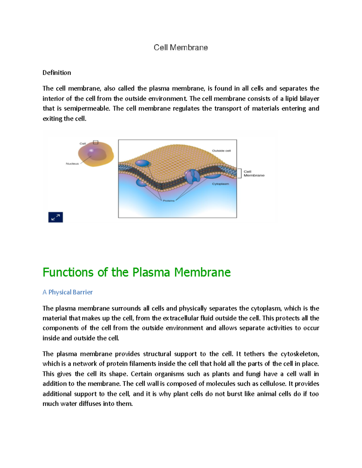 Cell Membrane Its just a summary for high school standards Cell