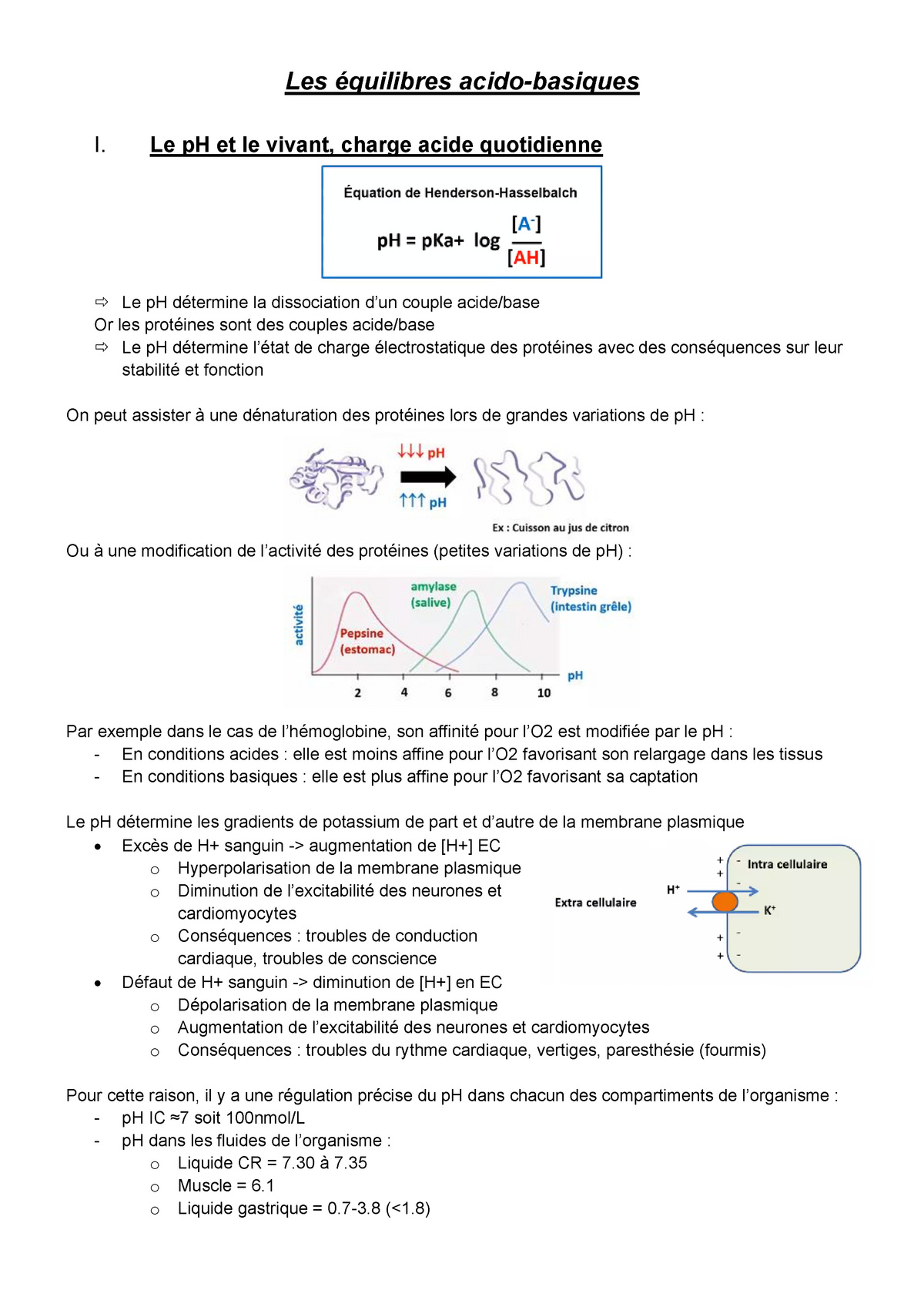 Equilibre Acido-basique - Les équilibres Acido-basiques I. Le PH Et Le ...