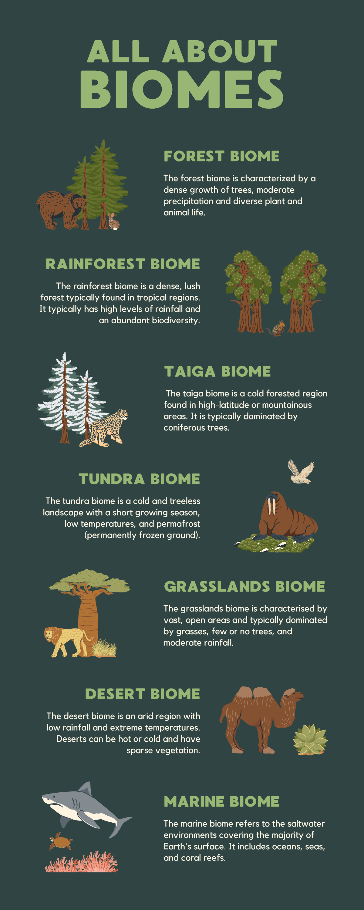 Dark Green Brown Illustrative Geography Biomes Infographic - Biomes All 