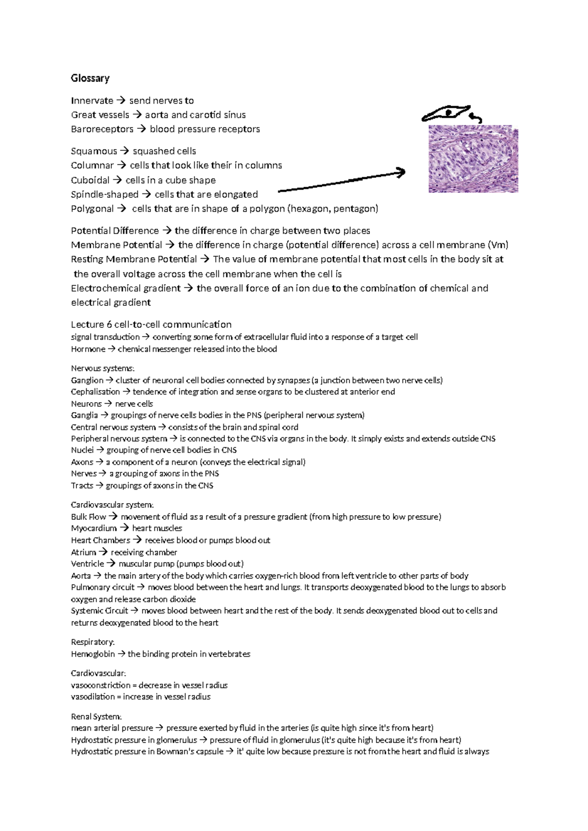 Glossary - Summary Foundations of Vertebrate Form and Function ...