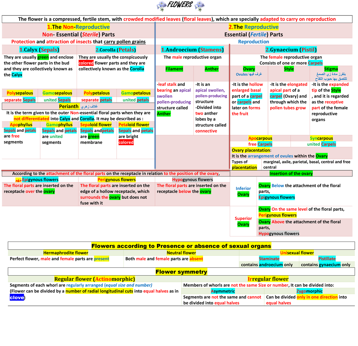 Pharmacognosy 1 (Flowers Full) - The flower is a compressed, fertile ...