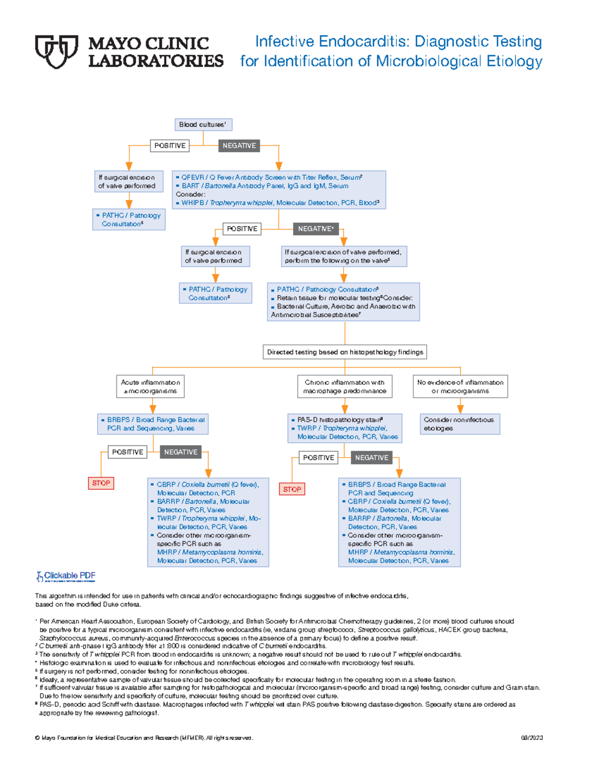 Infectious Endocarditis Diagnostic Testing for Identification of ...