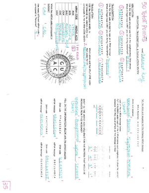 Population Ecology Worksheet - Succession, a series of environmental ...