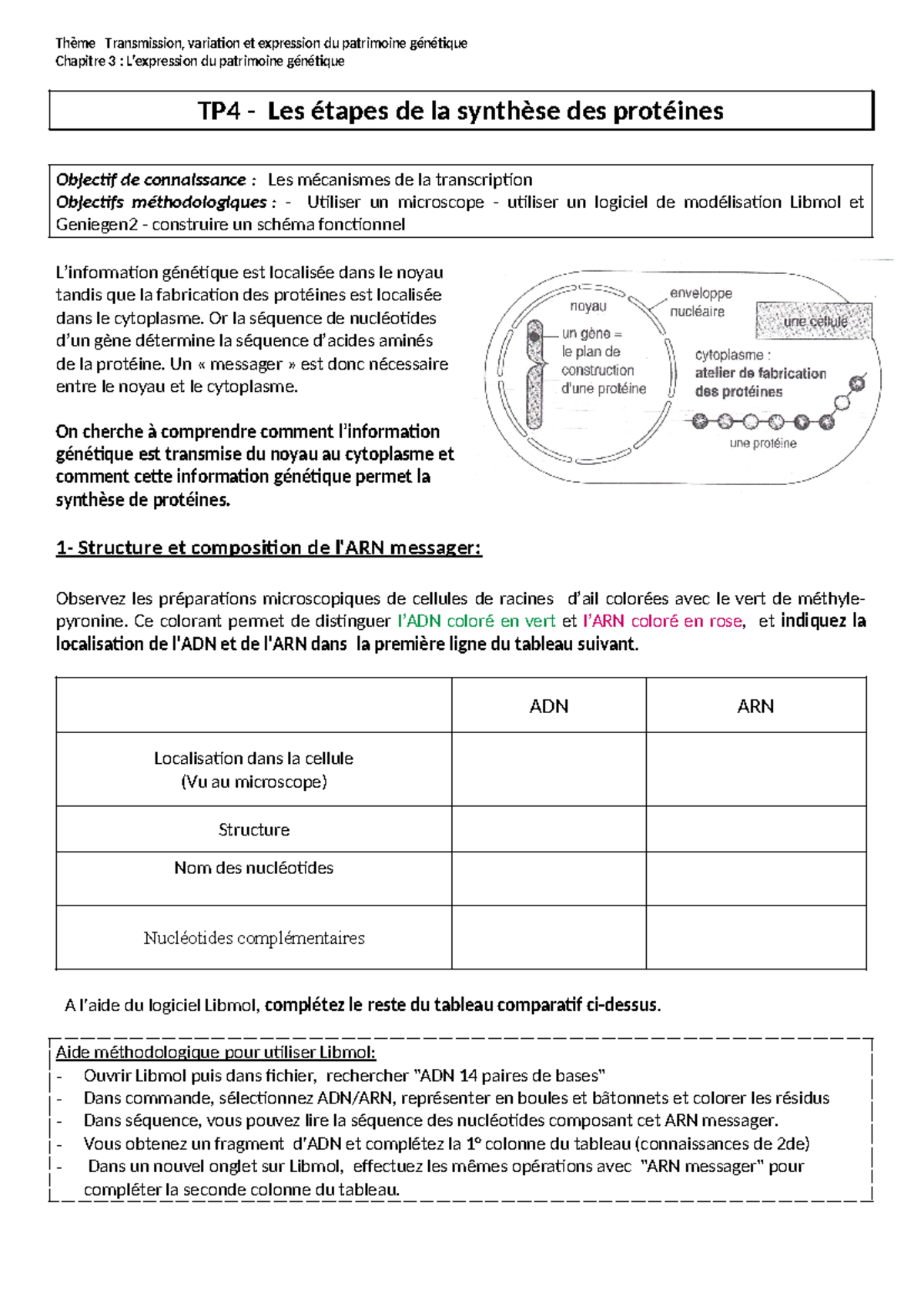 TP4transc - Copie - Exercices - Thème Transmission, Variation Et ...