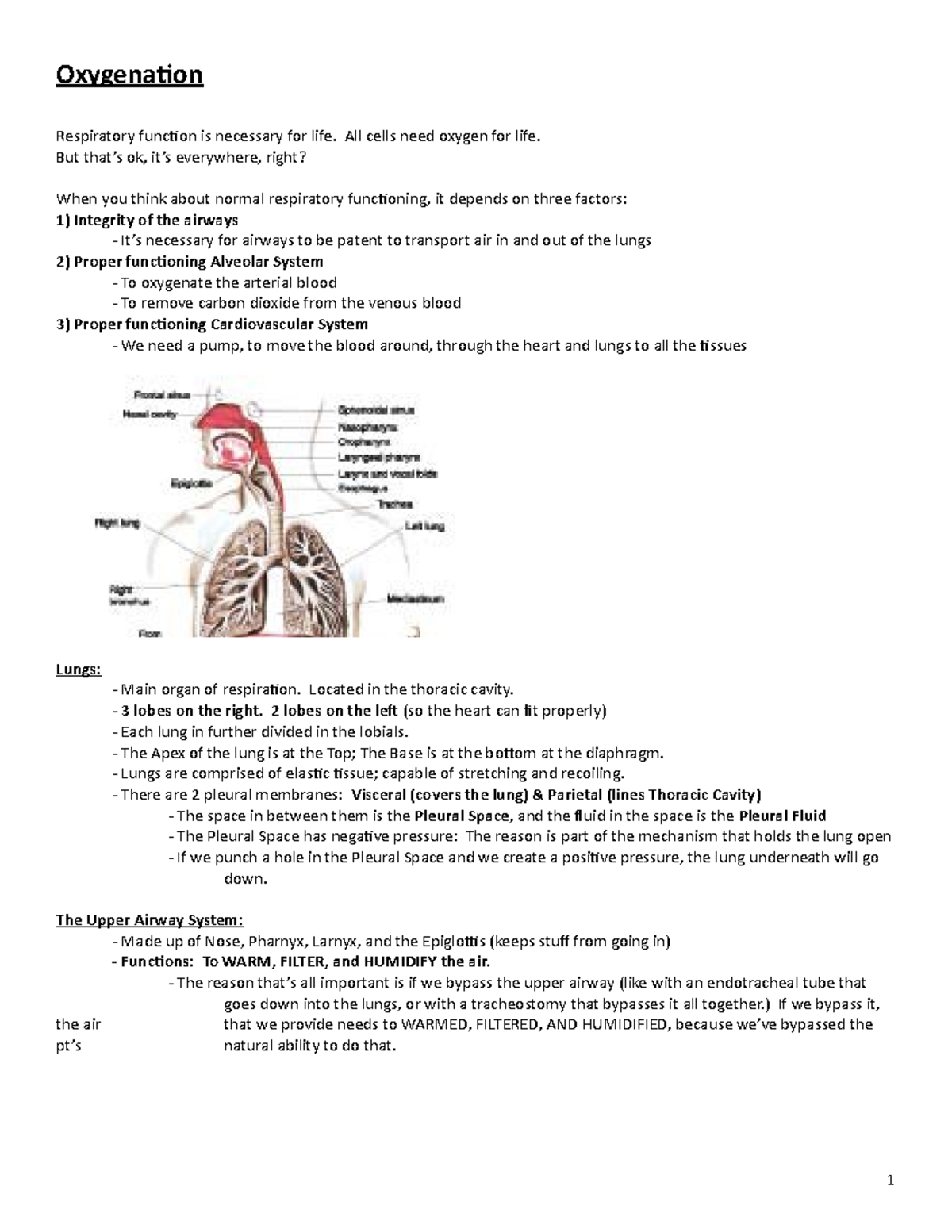 2 Oxygenation - Lecture notes 11 - Oxygenation Respiratory function is ...