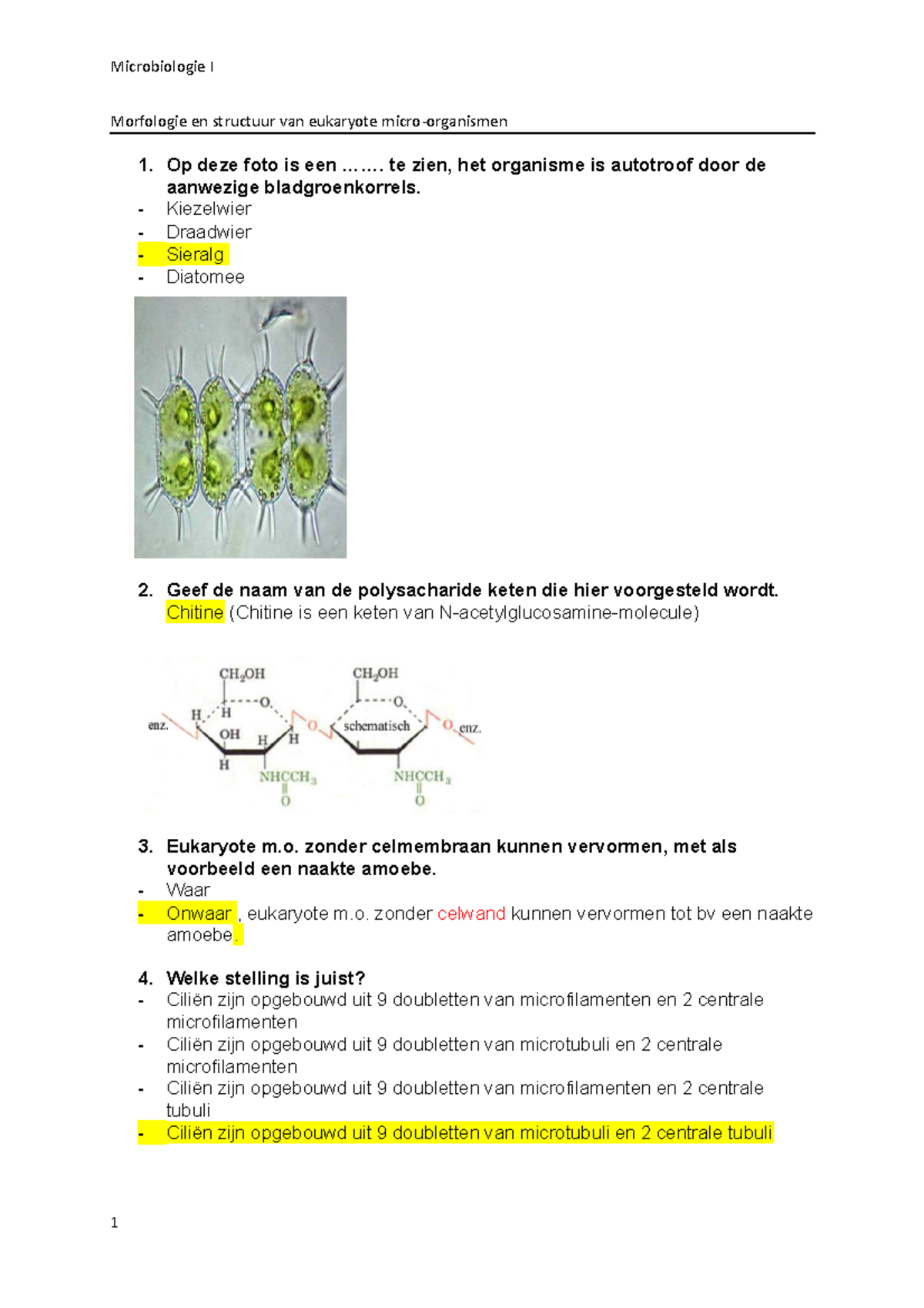 Morfologie En Structuur Van Eukaryote Micro Organismen - Op Deze Foto ...