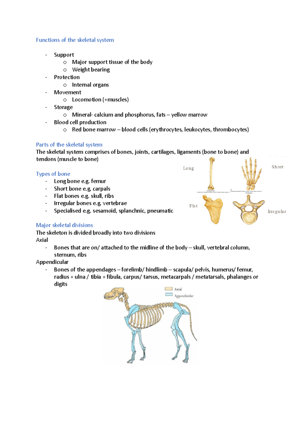 Functions of the skeletal system - Functions of the skeletal system ...