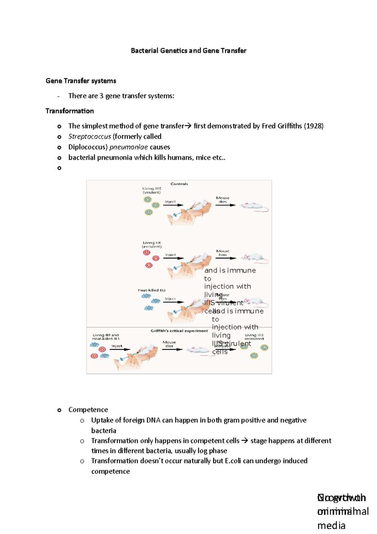 Bacterial Genetics and Gene Transfer - . o o Competence o Uptake of ...
