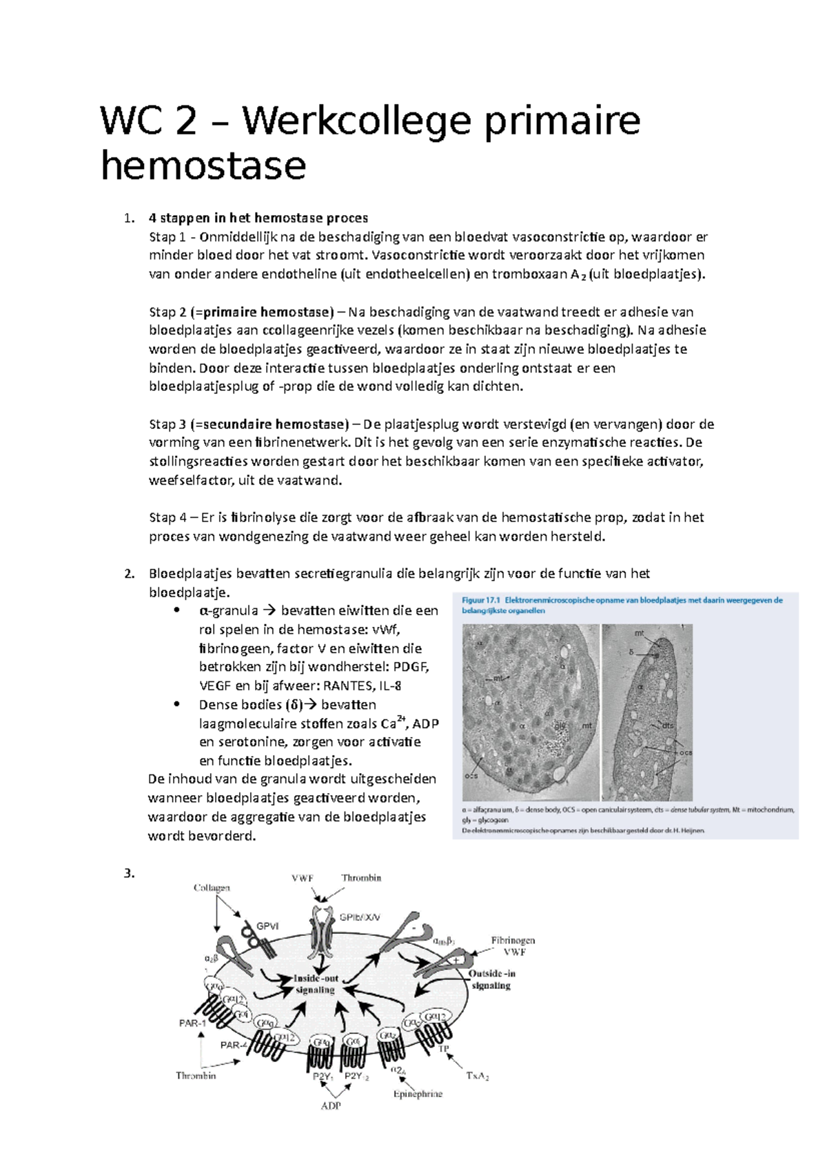 WC2 - Primaire Hemostase - WC 2 – Werkcollege Primaire Hemostase 4 ...