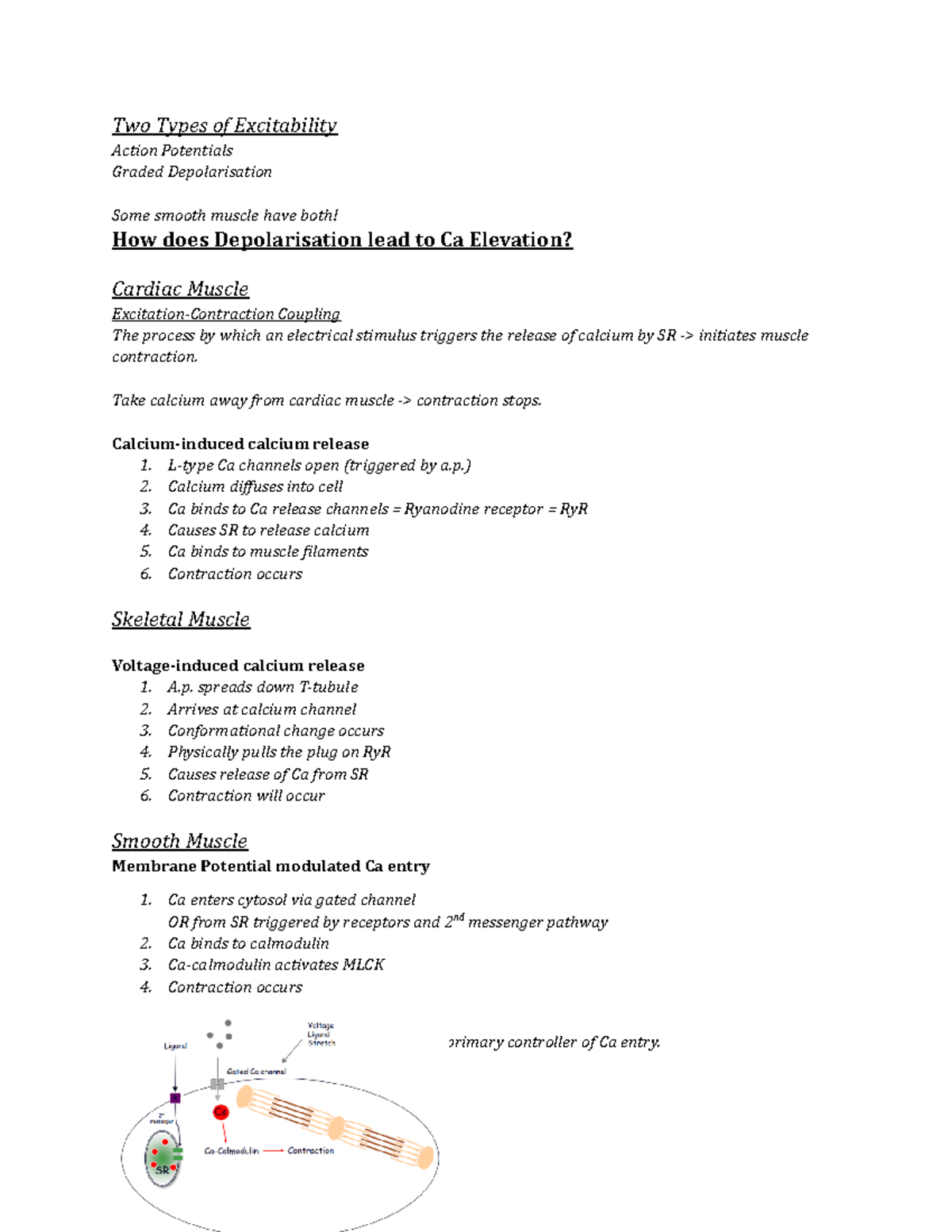 Two Types of Excitability - Two Types of Excitability Action Potentials ...