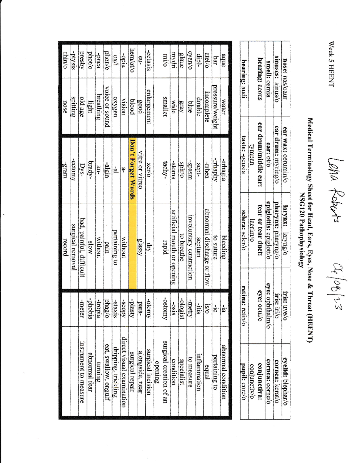 EENT Medical Terminology Worksheet (D(D lf (,r Fl L r_. z J E= N. S