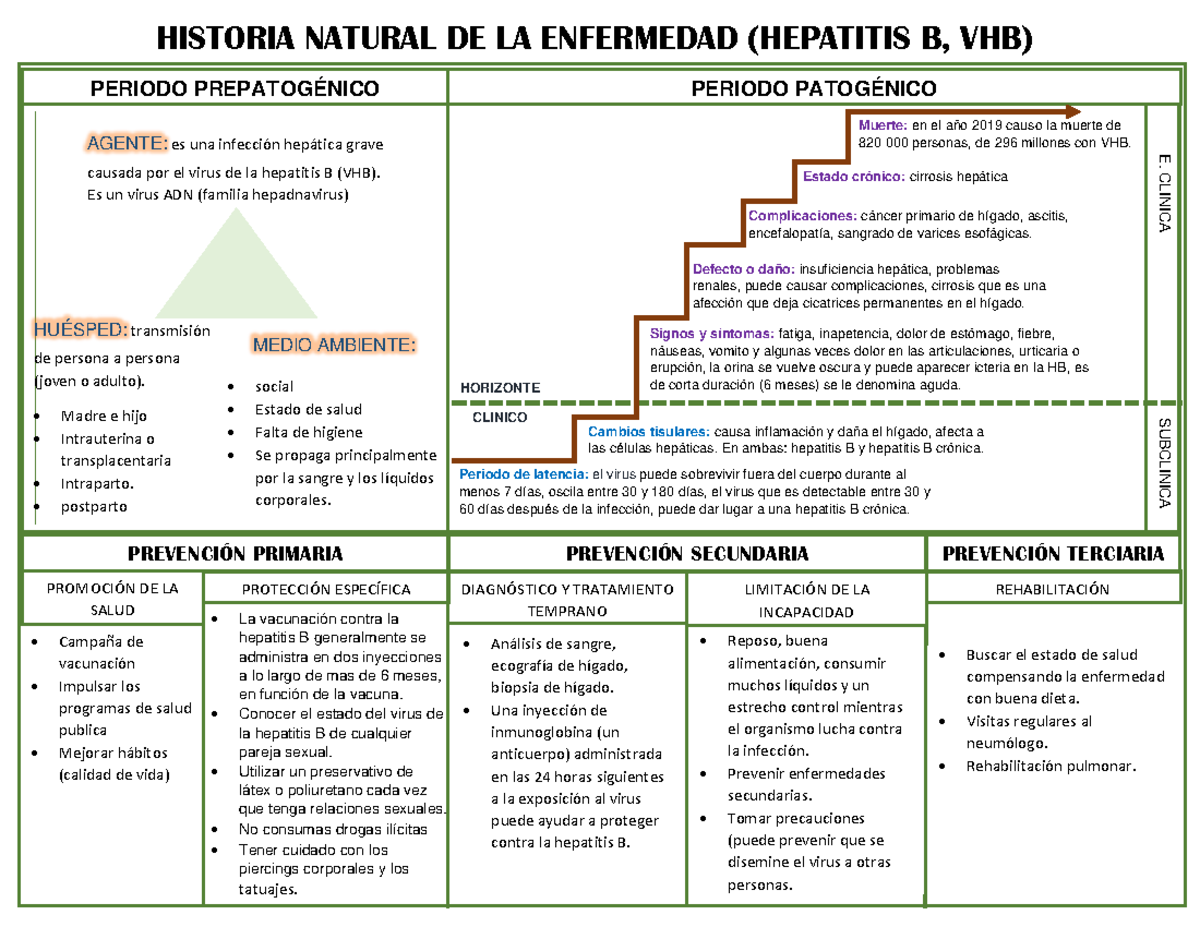 Hepatitis B Historia Natural De La Enfermedad