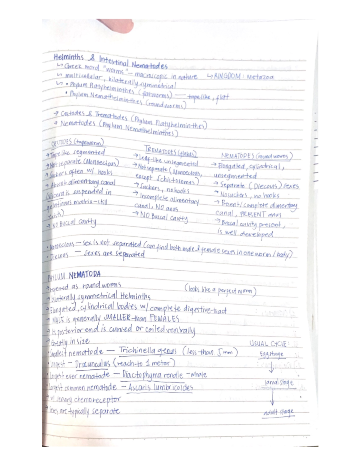 Nematodes I&II Notes Santos - Helminths Intestinal Nematodes Greek word ...