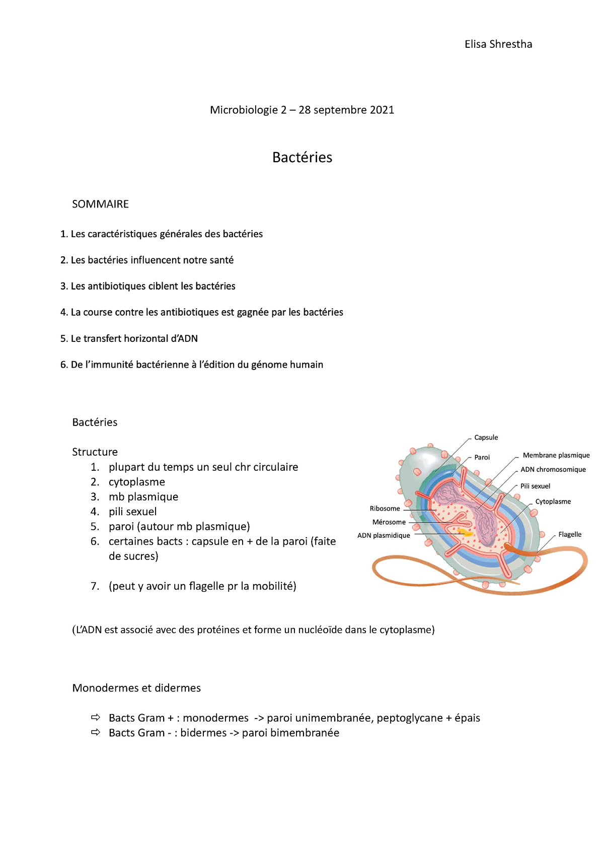 Microbiologie 2 - 28:09:21 - Microbiologie 2 – 28 Septembre 2021 ...