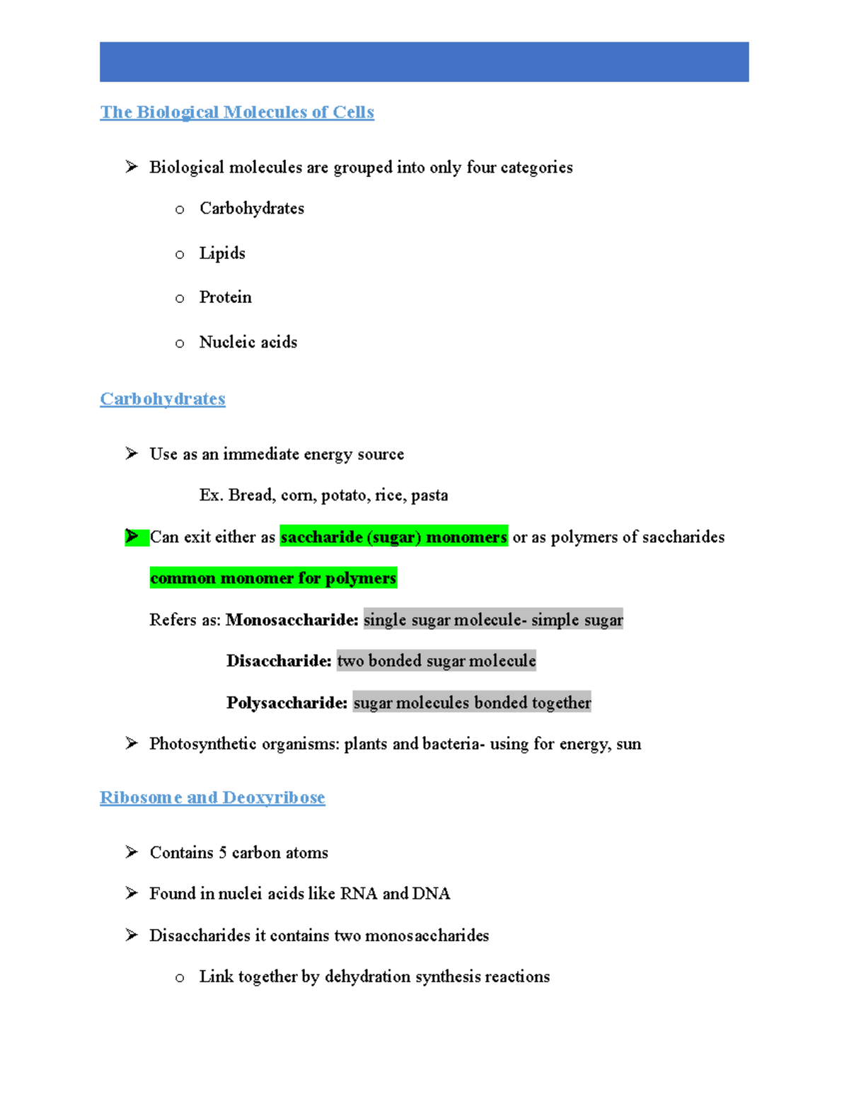 The Biological Molecules of Cells Bread, corn, potato, rice, pasta
