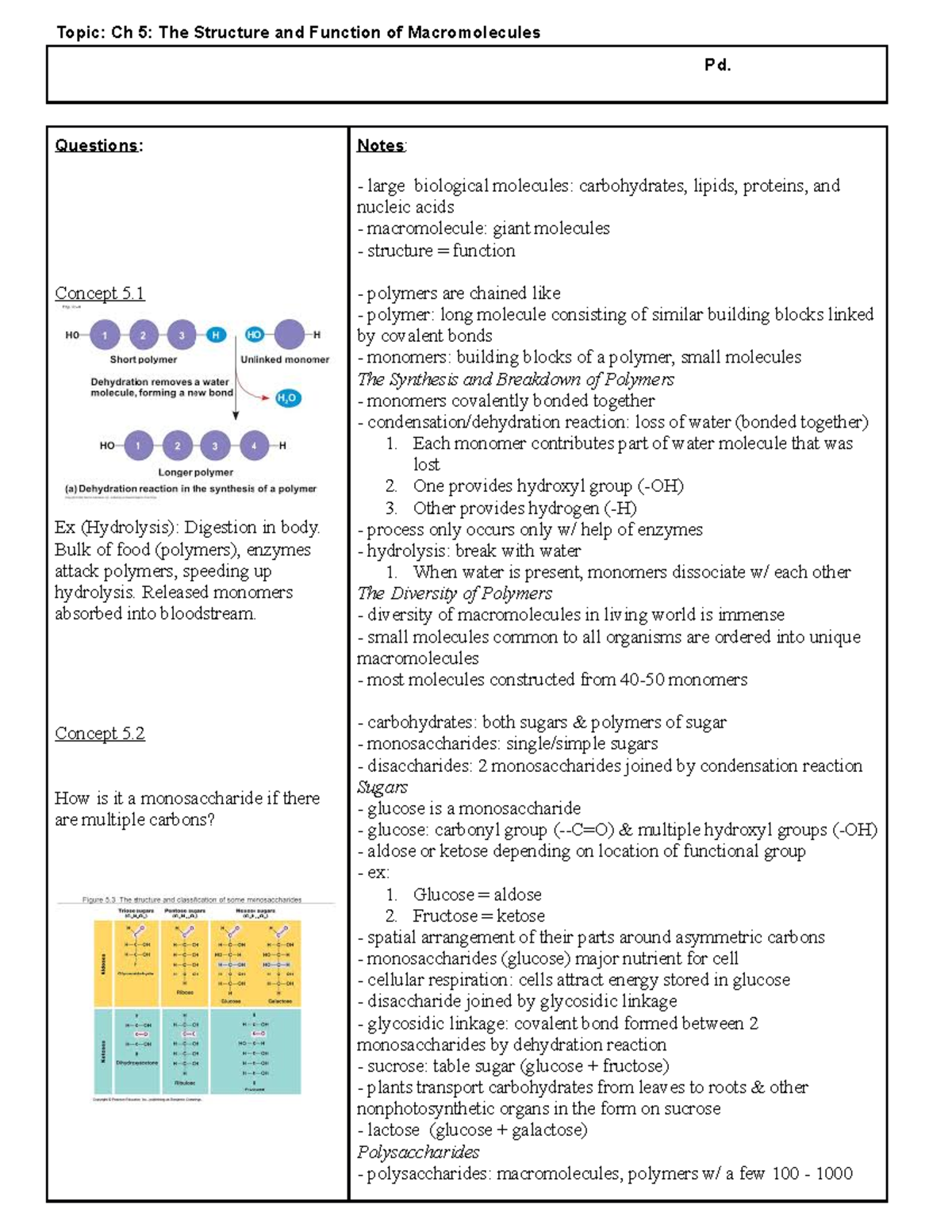 Ch 5 The Structure and Function of Macromolecules Questions Concept