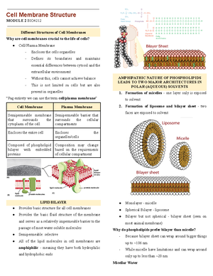BIO2 06 Central dogma part 3 - Cell & Molecular Biology - Studocu