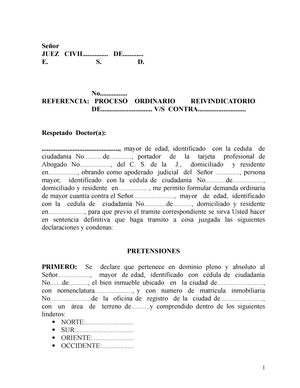 Demanda Ordinaria Reivindicatoria - Señor JUEZ CIVIL..............  DE............ E. S. D. - Studocu